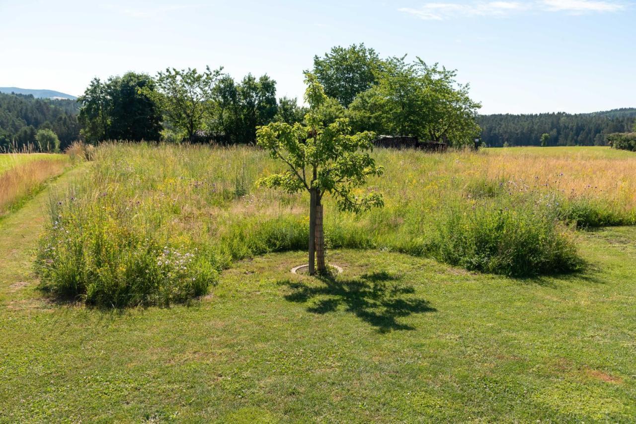 Moderne, Gemuetliche Dg-Wohnung In Ruhiger Lage Neunburg vorm Wald Eksteriør bilde